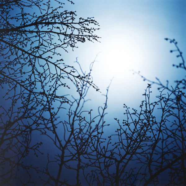 The Moon In The Sun1